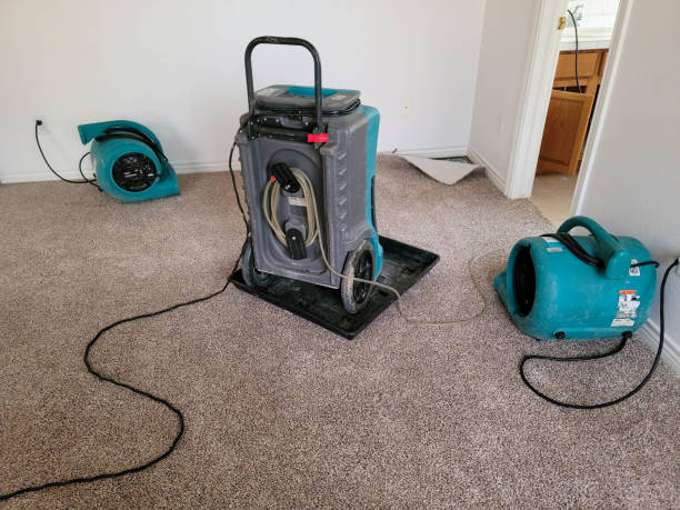 Best Basement water damage restoration  in Rockwell Place, TX