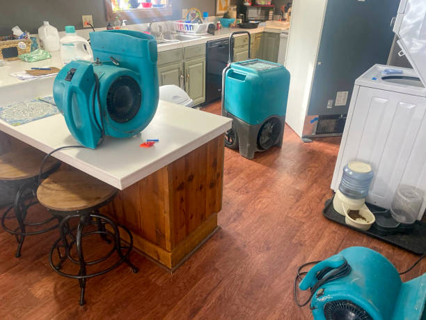 Best Sewage cleanup and water damage restoration  in Rockwell Place, TX
