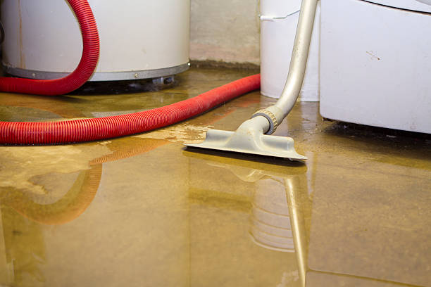 Carpet water damage restoration in Rockwell Place, TX